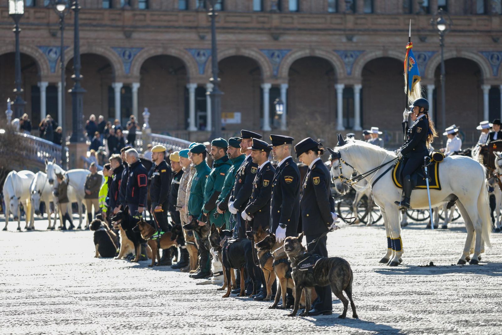 Las imágenes de la celebración del día de San Antón por la Policía Nacional en la plaza de España