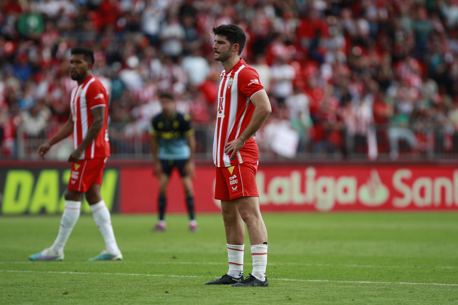 Imágenes del partido de la Liga Santander U.D. Almería-Cádiz C.F.