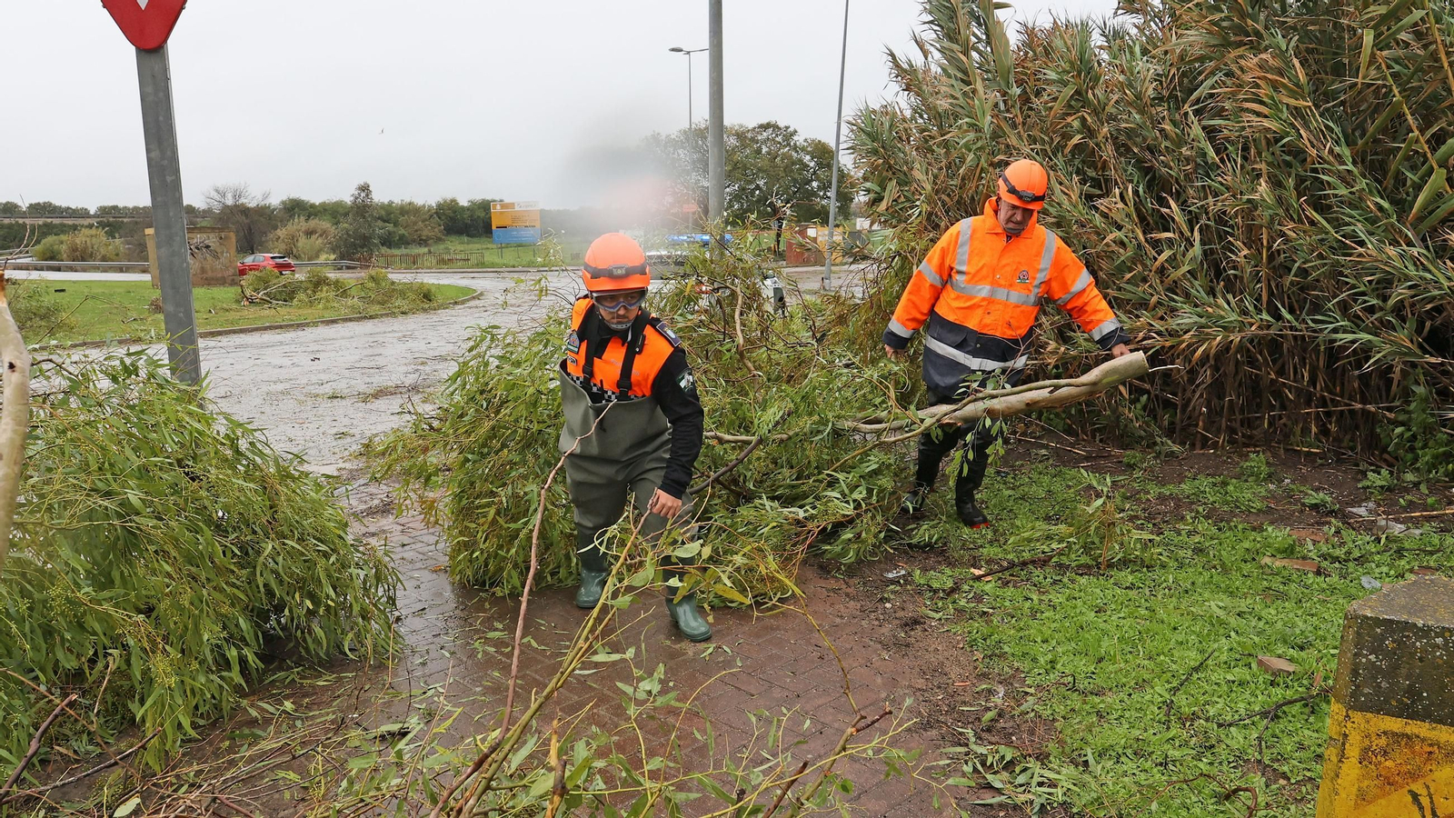 Imágenes del temporal de viento y lluvia en Jerez