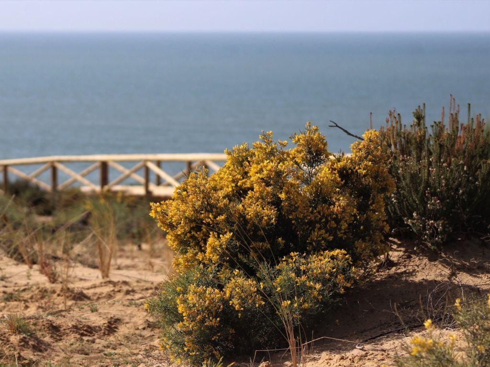 Senderismo junto al mar: una ruta para descubrir el encanto de Cuesta Manoli