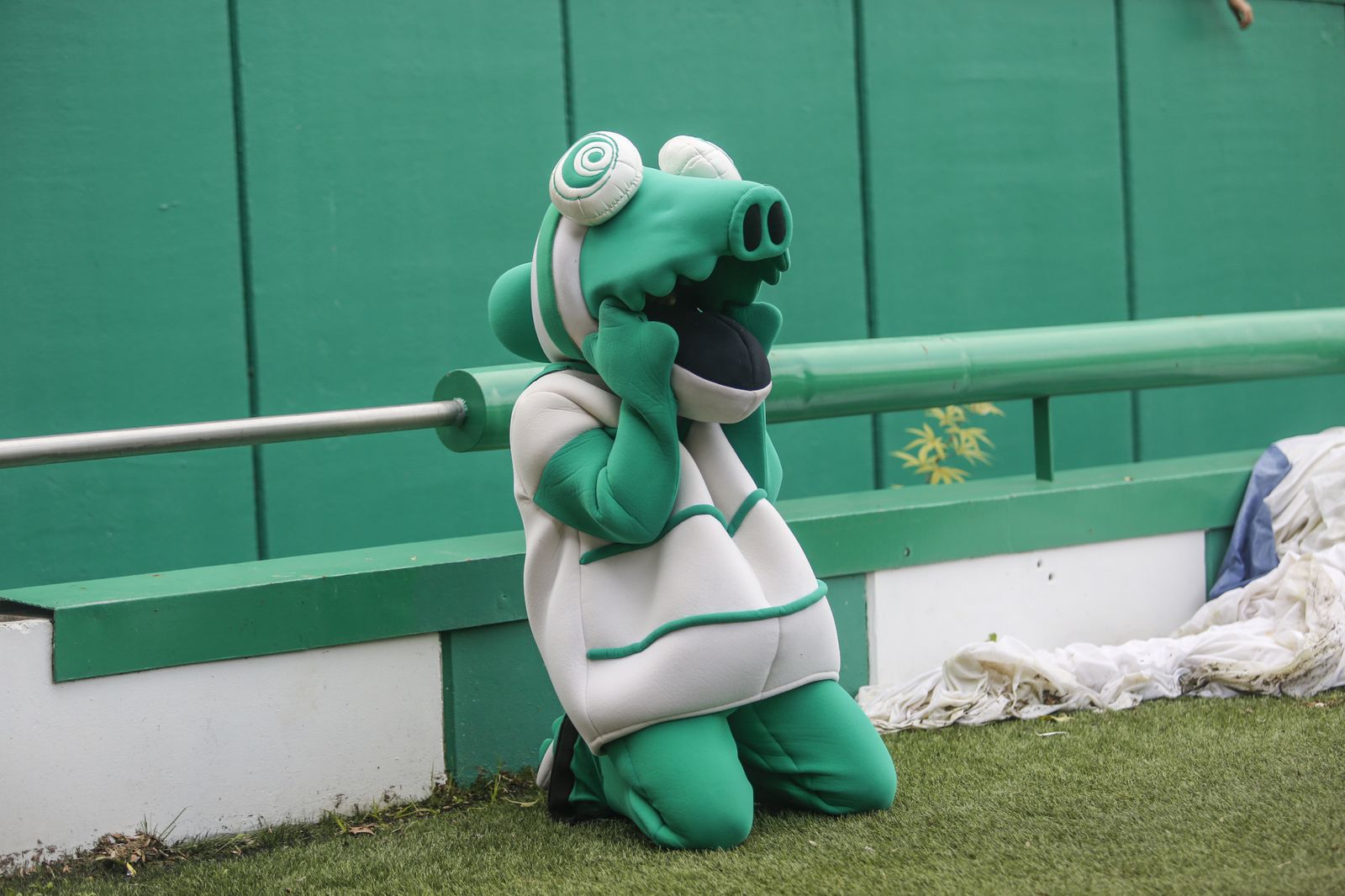 Las fotos del Córdoba CF - Marbella