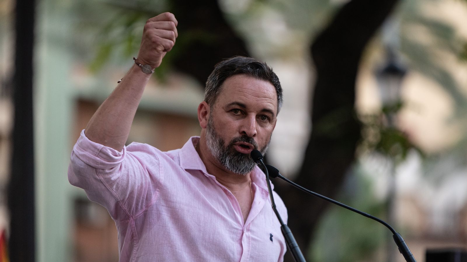 Santiago Abascal en el mitin de Vox en La Merced.