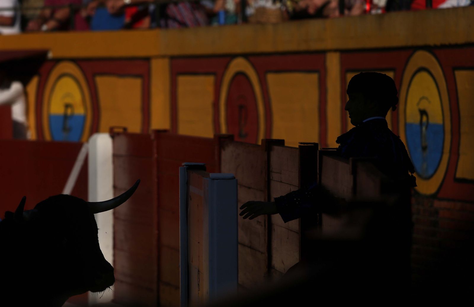 La novillada de Miguelín que abre la feria de Algeciras, en imágenes