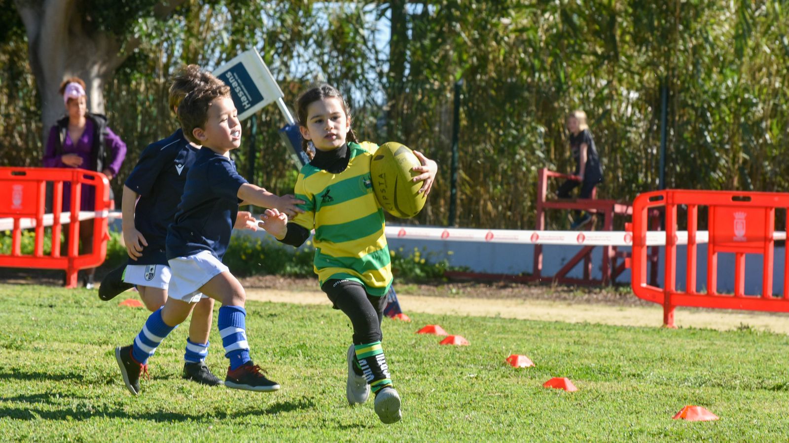Las fotos del Festival Andaluz de rugby gradual en Pueblo Nuevo de Guadiaro