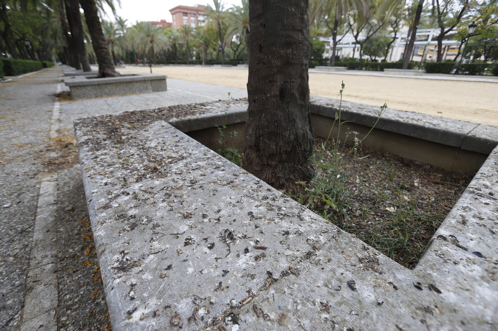 Imágenes del deterioro en la Avenida de Andalucía