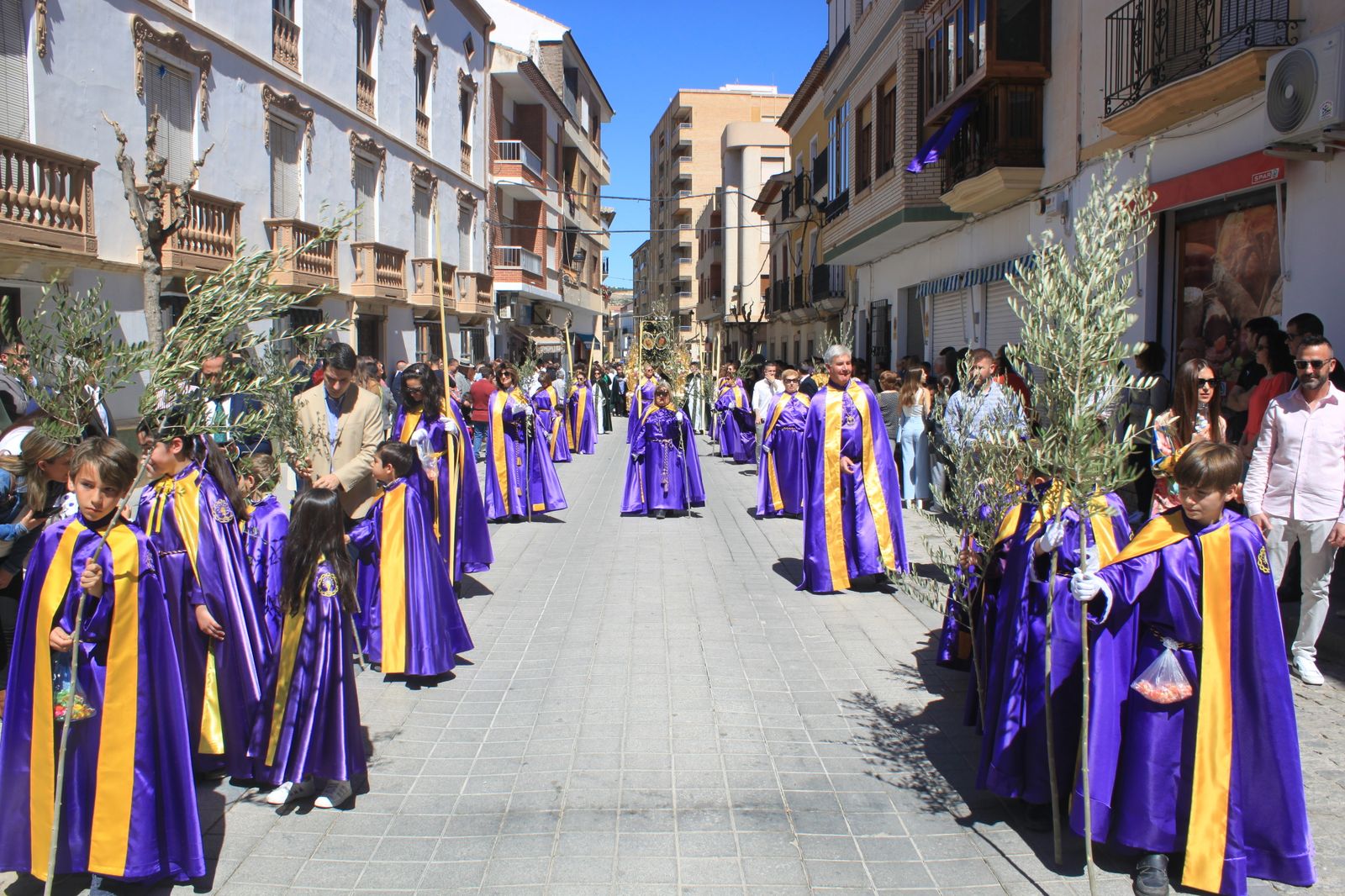 La borriquita de Vélez-Rubio, en imágenes