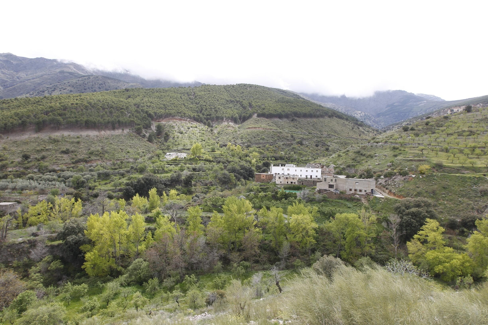 Naturaleza desconfinada. La Roza (Abrucena)