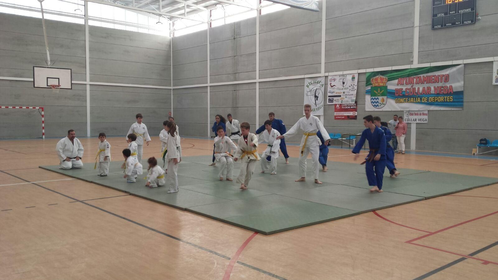 El judo será uno de los deportes que podrán practicar los vecinos de Cúllar Vega. El judo será uno de los deportes que podrán practicar los vecinos de Cúllar Vega.