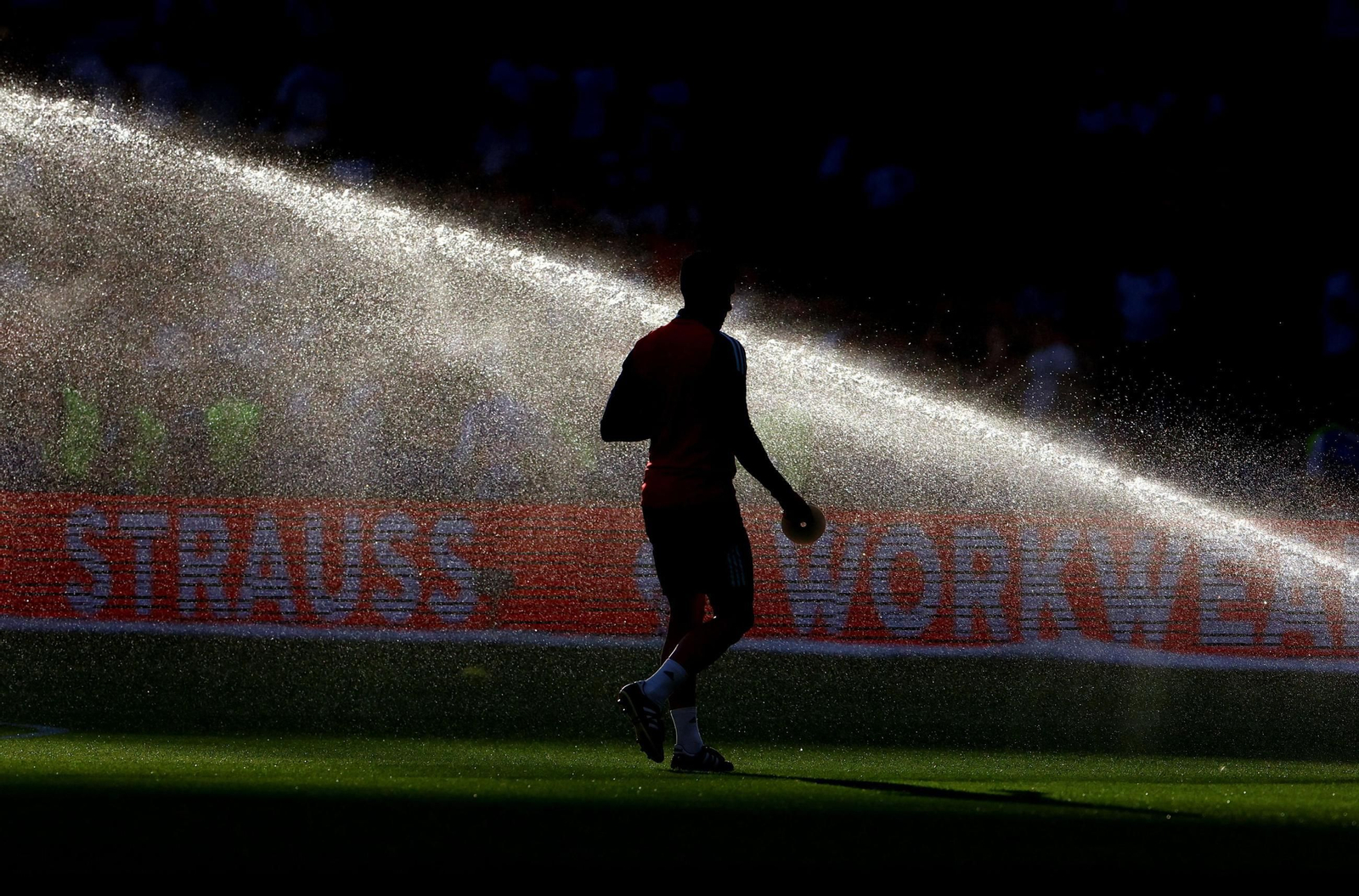 Las mejores fotos de la final España - Inglaterra