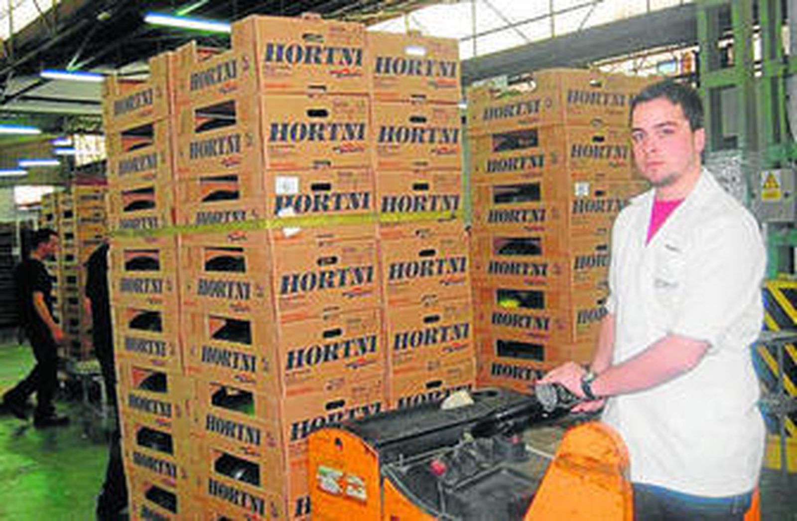 Un operario de Agroponiente, con cajas de sandías.