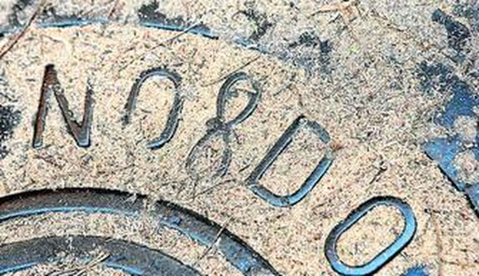 Detalle del serrín que ayer se acumulaba en la calle Cuna.