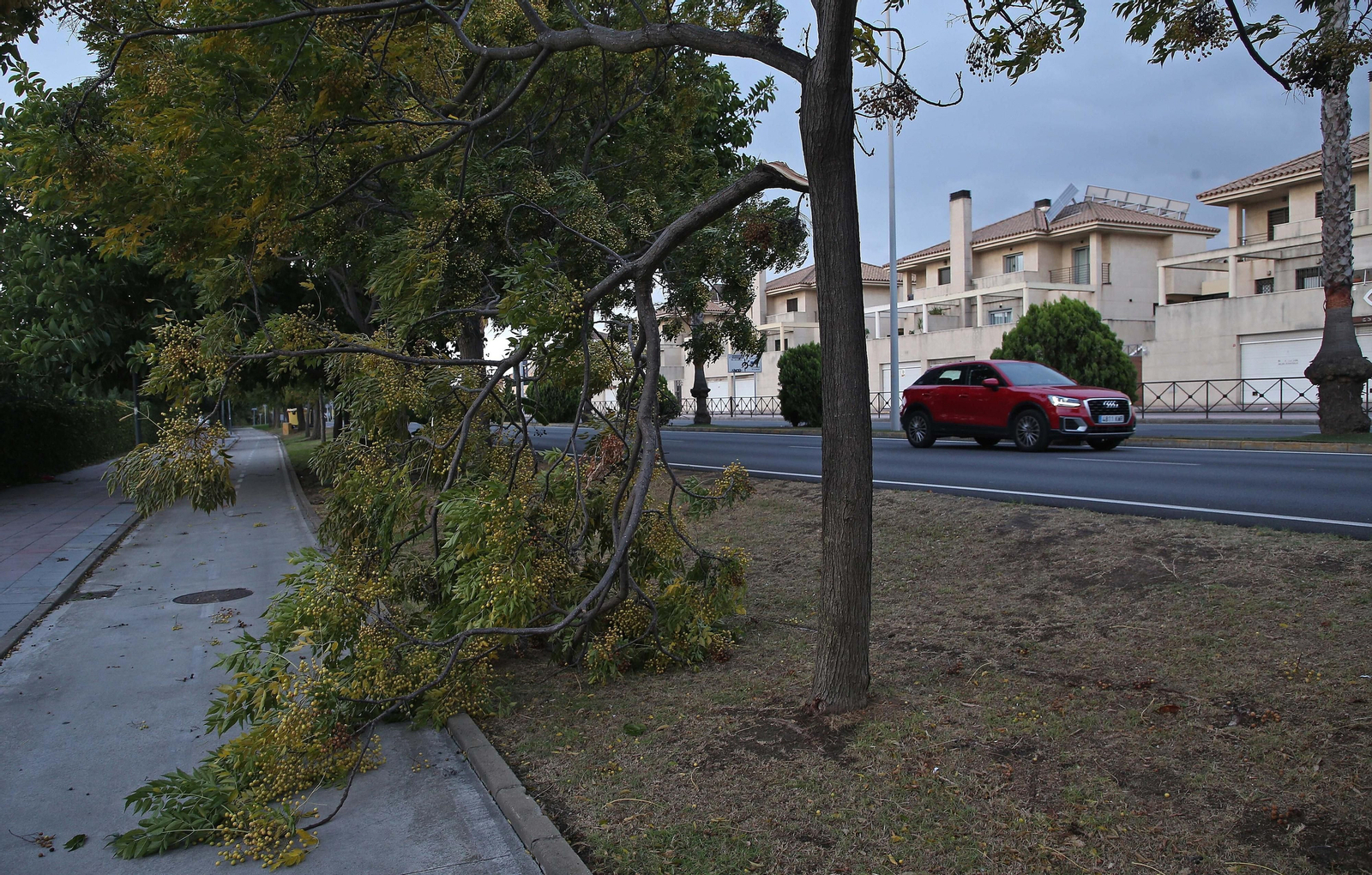 El paso de la borrasca Aline por Algeciras, en imágenes