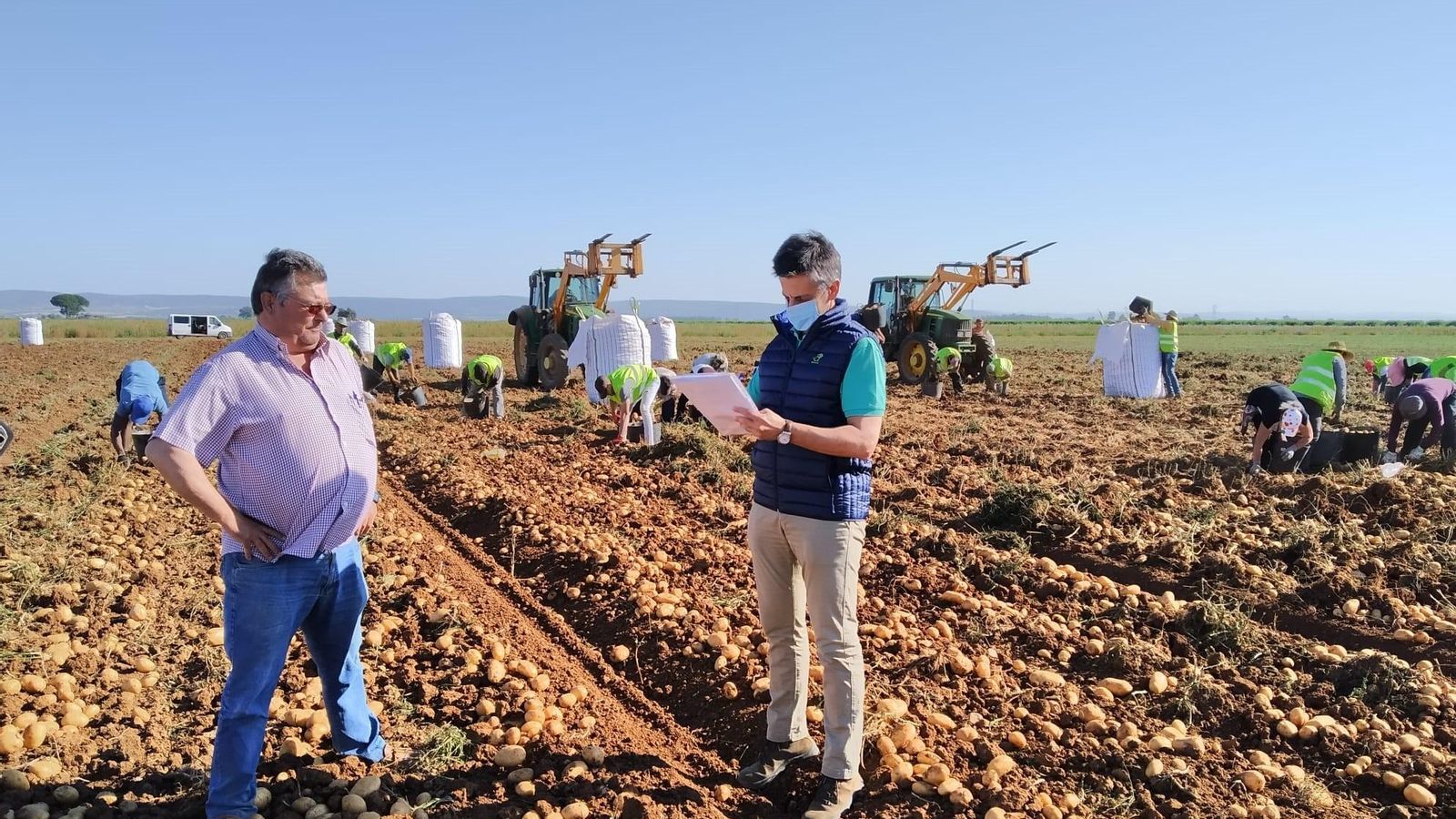 Revisando el cumplimiento Globalgap en la recolección de patata en la Vega de Sevilla.