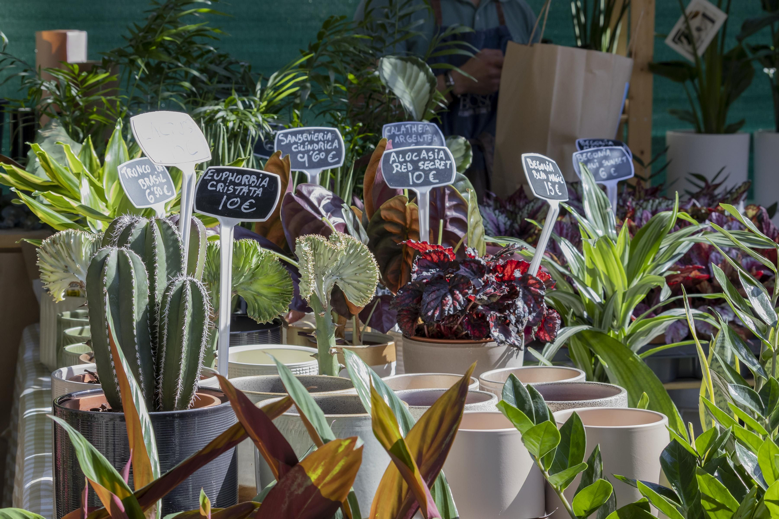 Las mejores imágenes de la Muestra de Primavera en Plaza de las Monjas, Huelva