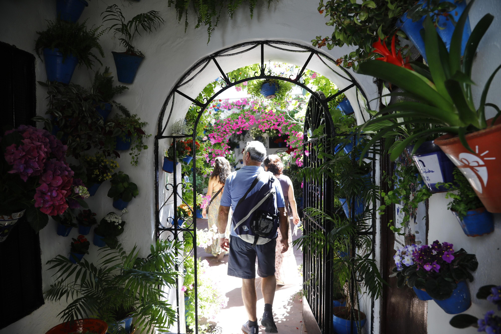Los Patios de Córdoba se preparan para el fin de semana, en imágenes