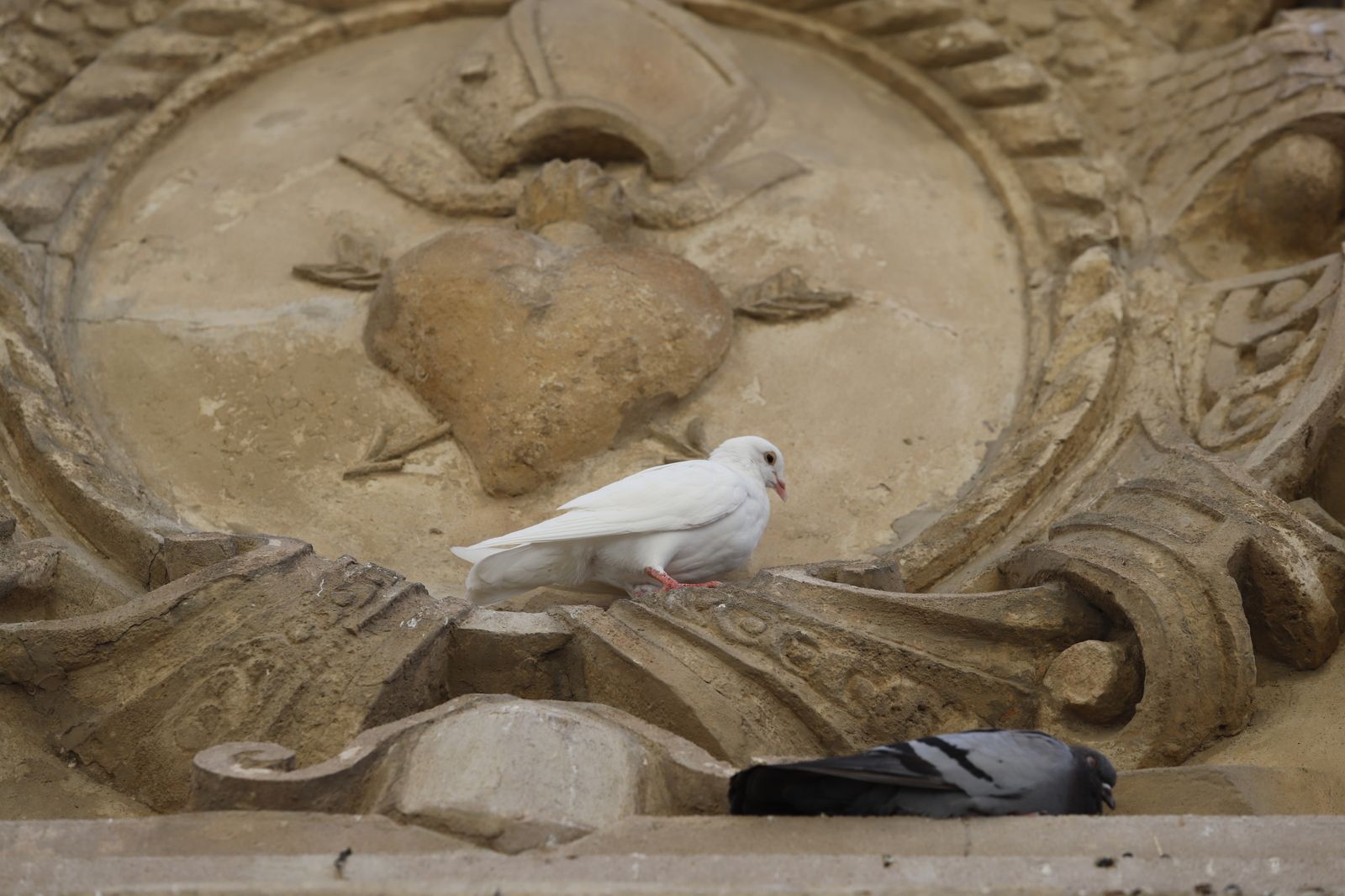 Las imágenes más destacadas del lunes 10 de julio en Huelva