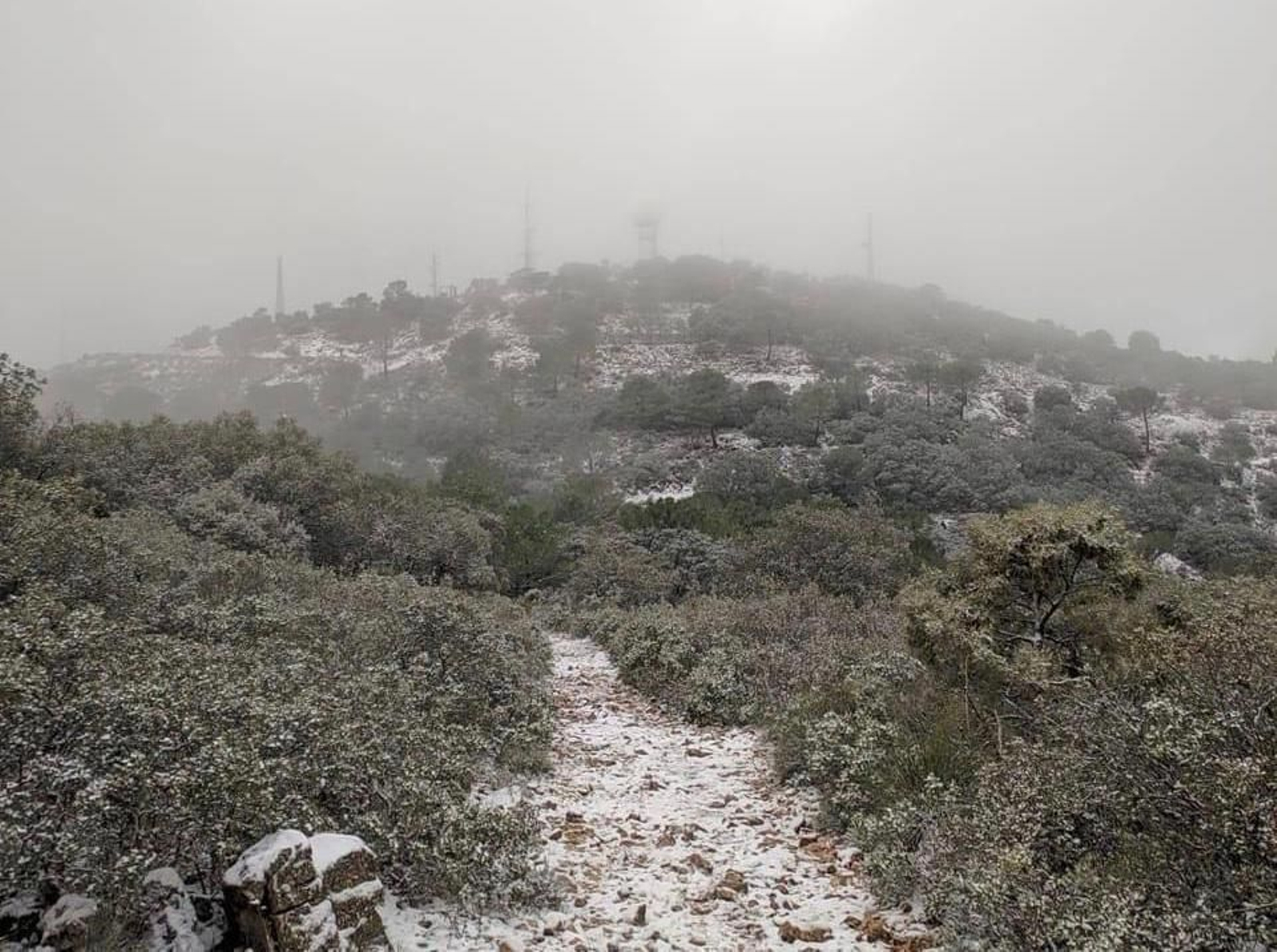 Nieve en la sierra de Mijas.