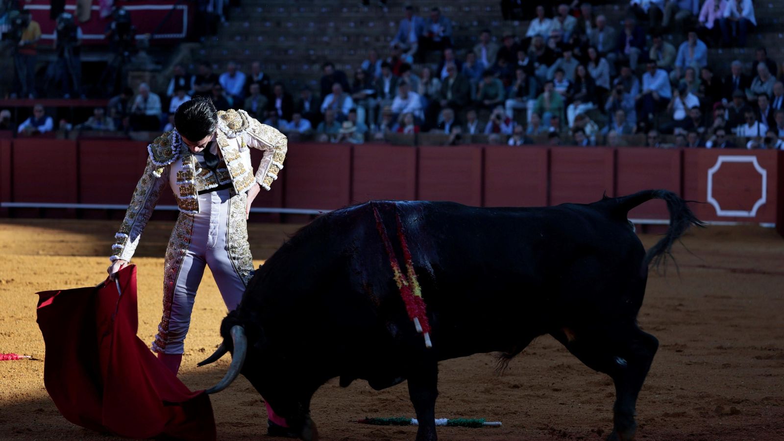 José Garrido lleva muy toreado en redondo a ‘Saleroso’, toro que abrió plaza y al que le cortó una oreja.
