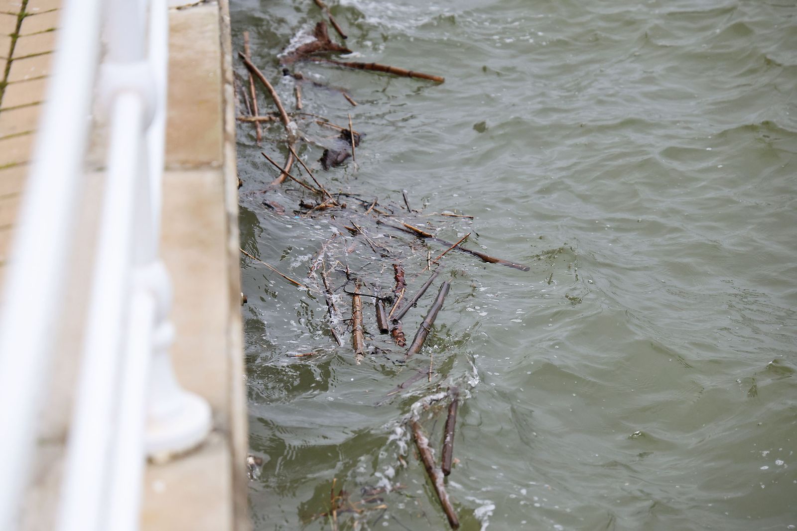 Muelle de carga de la Riotinto con marea alta en la borrasca Leonardo (29)