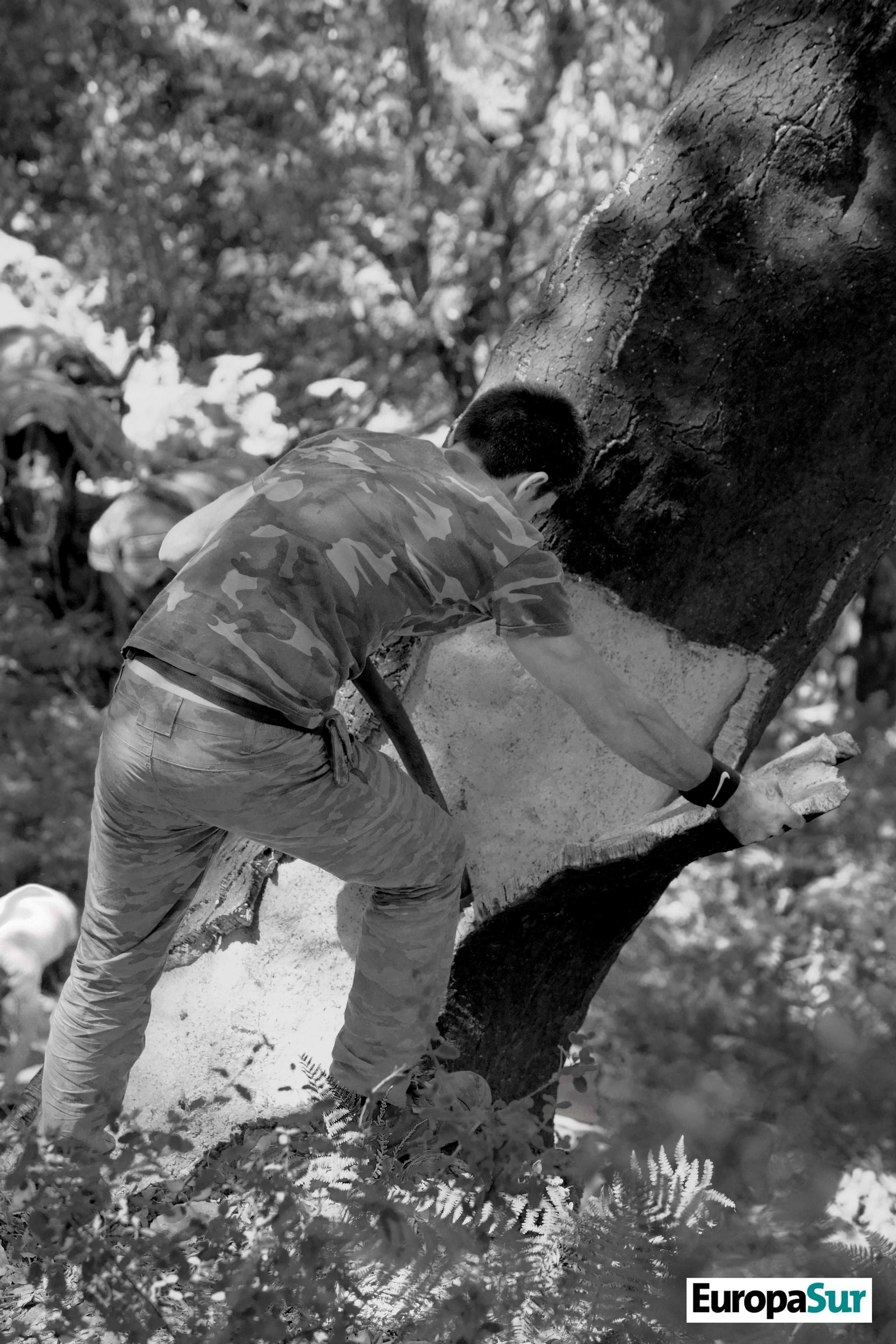 Fotografías de 'El último bosque', por David Coronado