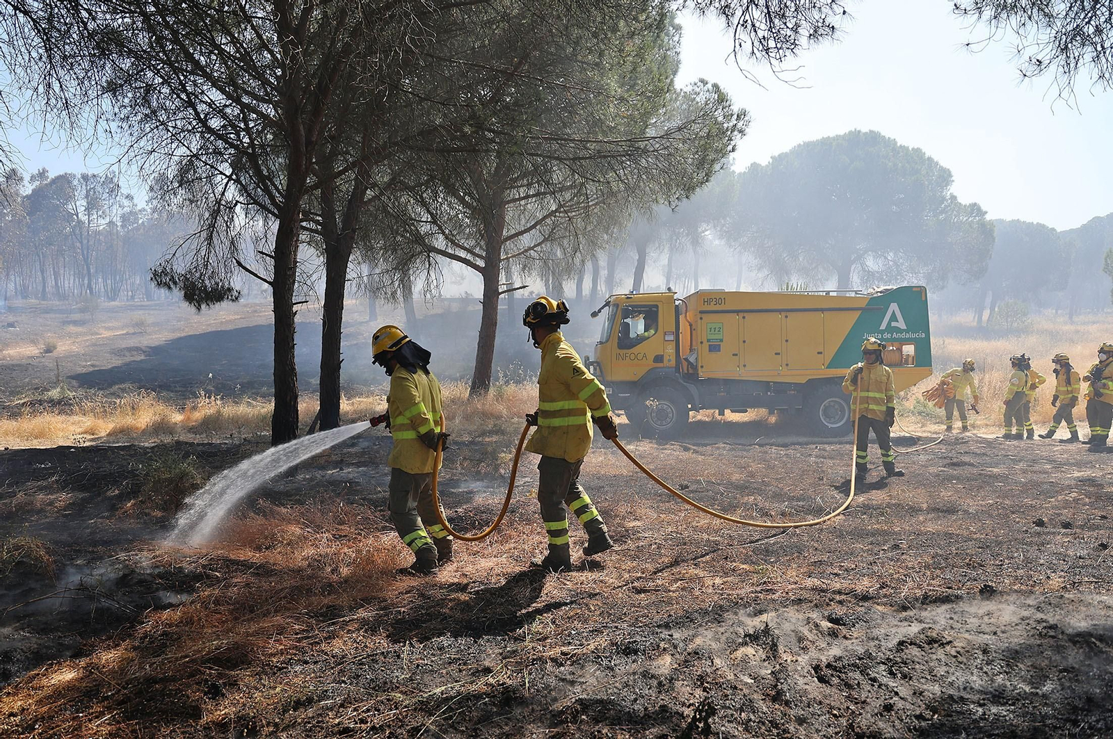 Efectivos del Infoca en uno de los incendios forestales de este verano en Huelva. Efectivos del Infoca en uno de los incendios forestales de este verano en Huelva.