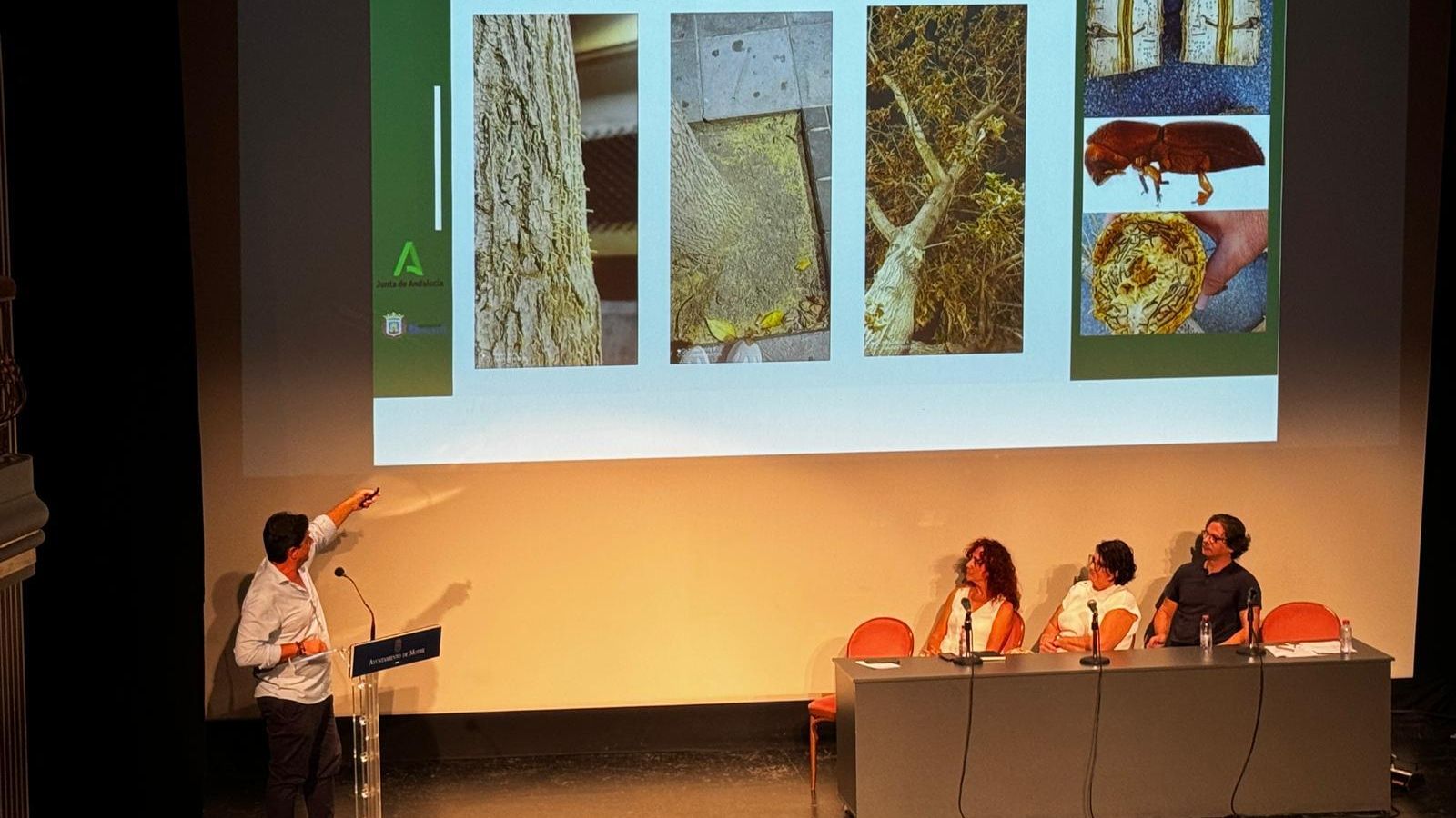 Durante la jornada han explicado las actuaciones que se han realizado