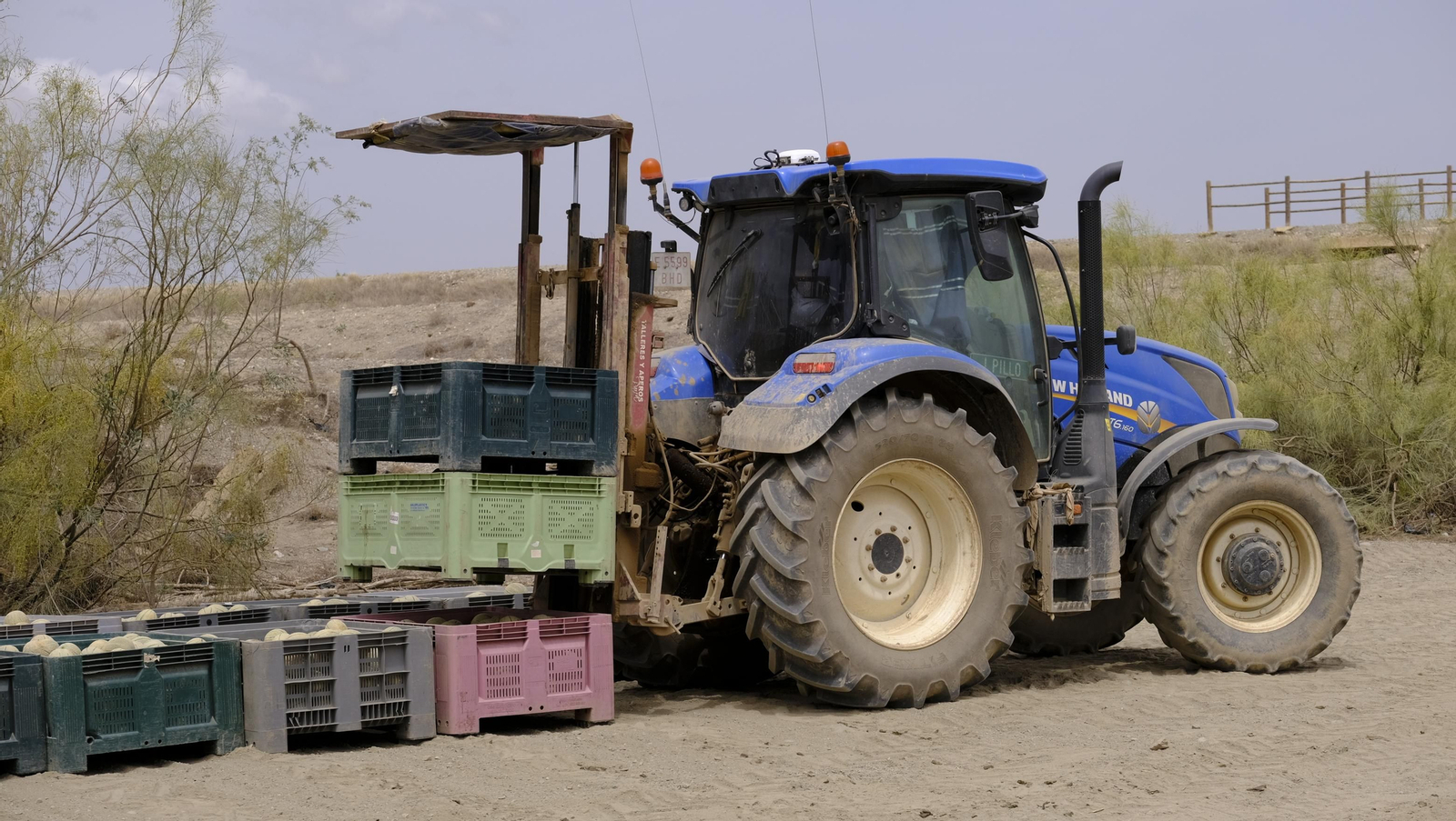 La sandía y el melón de Huércal Overa, manjares en imágenes