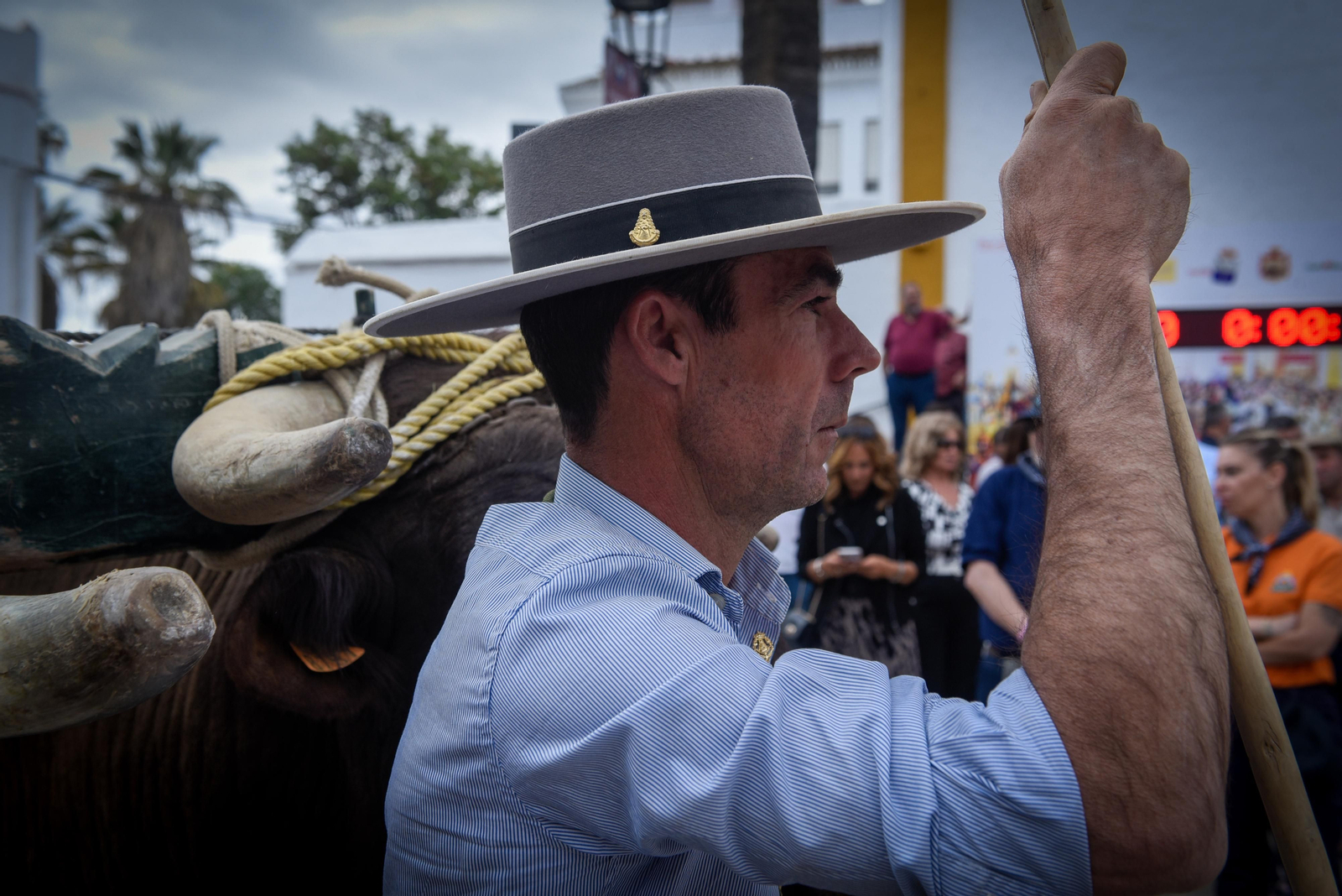 El paso de las Hermandades de El Rocío por Villamanrique, en imágenes