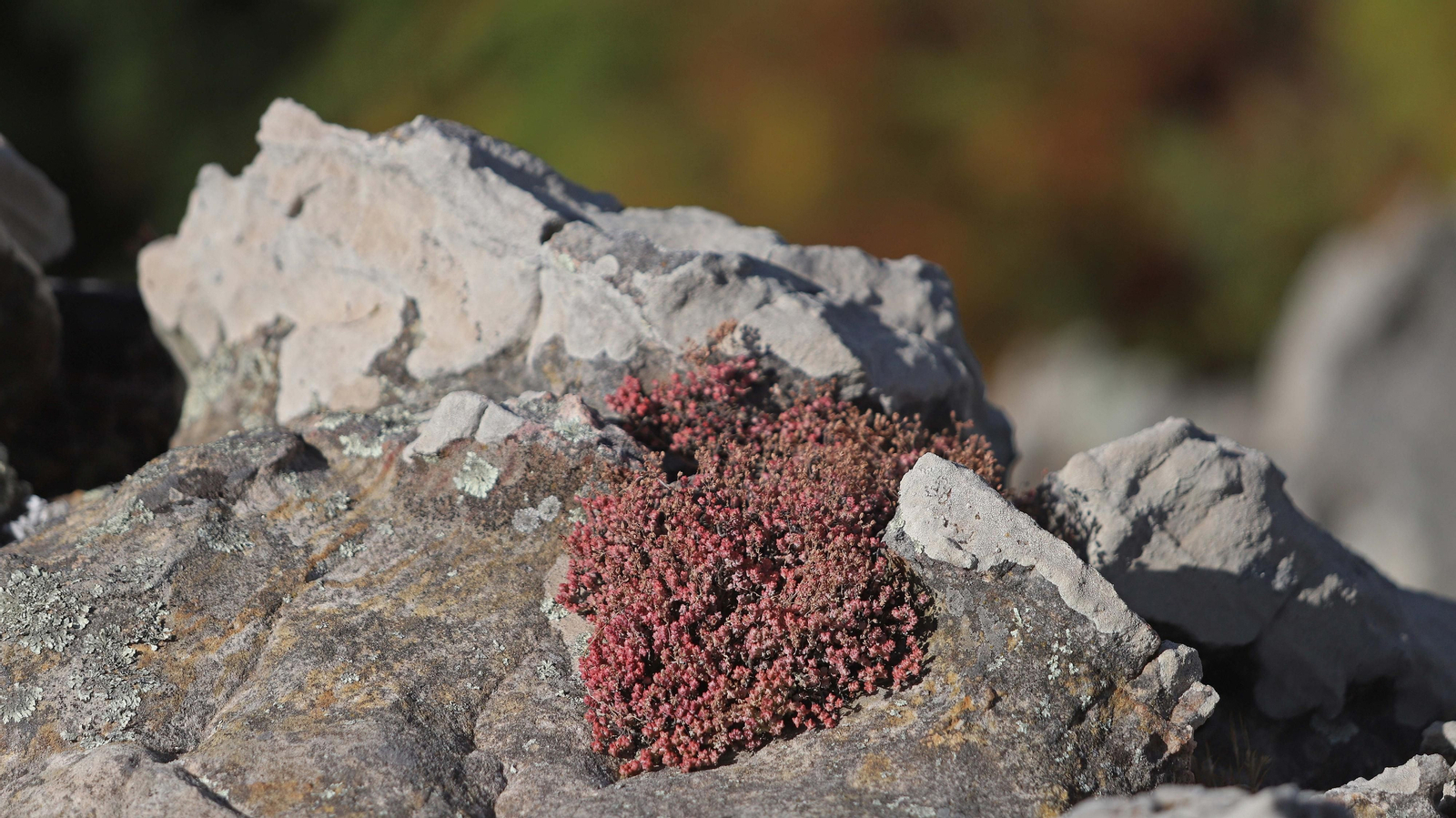 Las mejores fotos de la Montera del Torero y Valdeinfierno