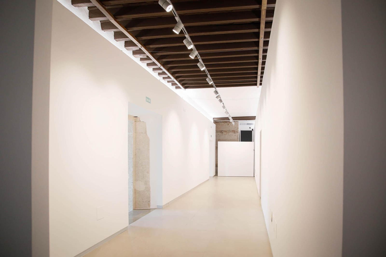 Imágenes de la entrevista realizada al director del Museo del Realismo Español Contemporáneo MUREC