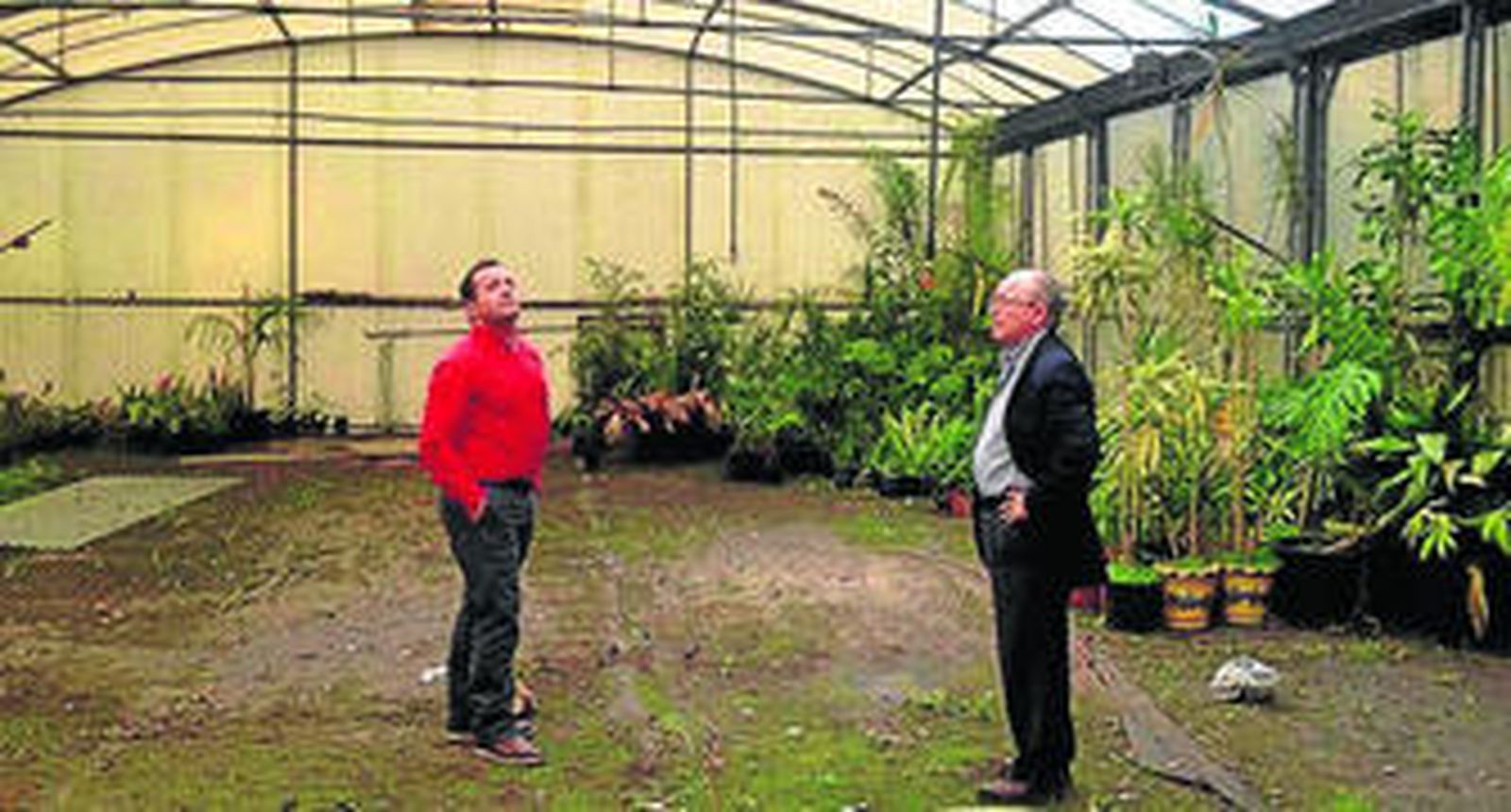 Imagen de la visita de Ávila y De Salas al vivero de Pelayo.