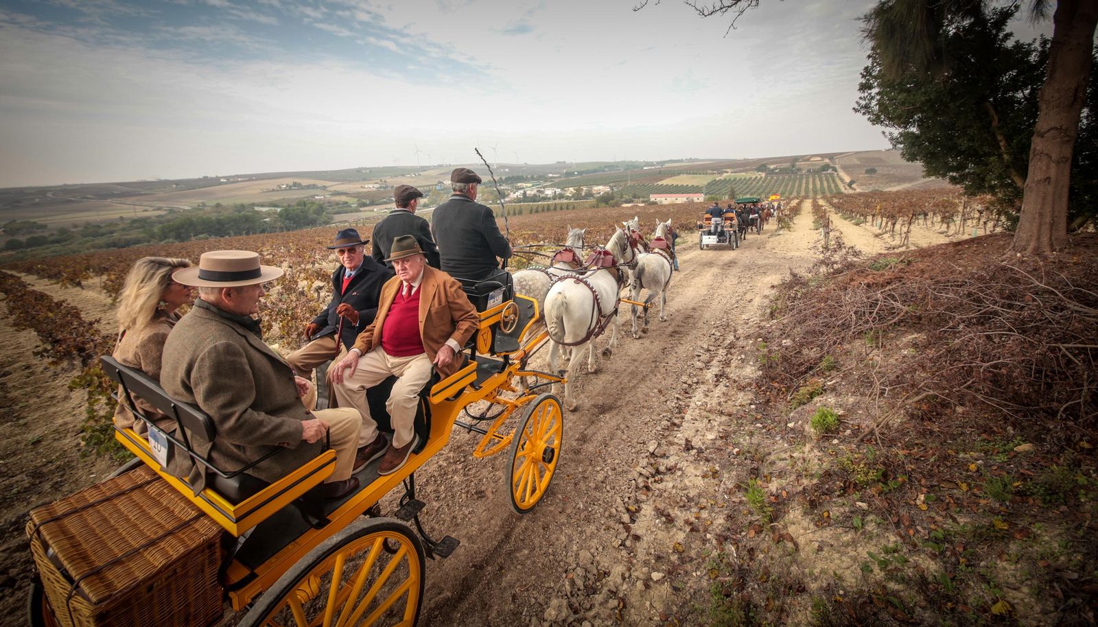 Búscate en la III Ruta Viñas de Jerez de Enganches
