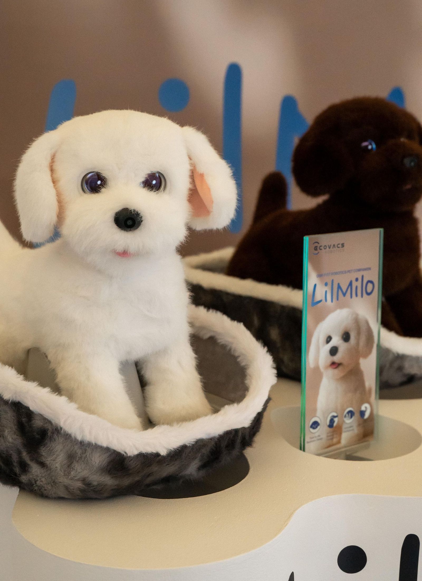 Evento de presentación de Ecovacs Robotics en Barcelona