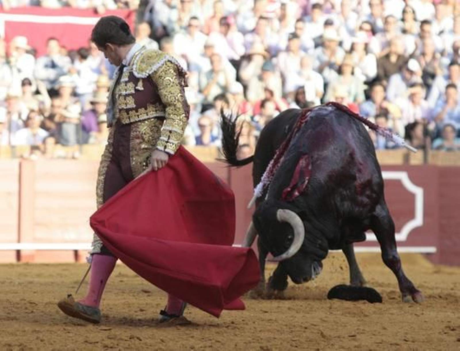 El Juli con el cuarto de la tarde en la treceava del abono de La Maestranza.

Foto: Juan Carlos Muñoz