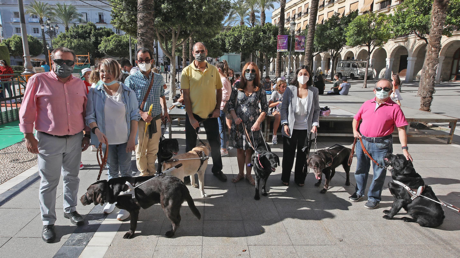 Exhibición en la plaza del Arenal del adiestramiento de perros guía de la ONCE