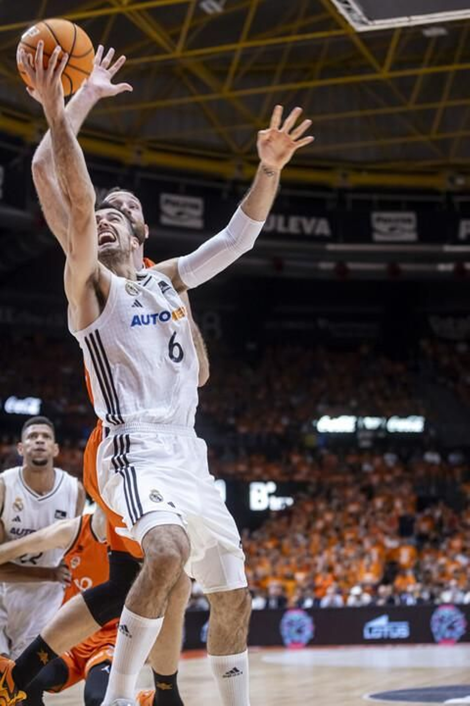 Las fotos del título del Real Madrid en baloncesto