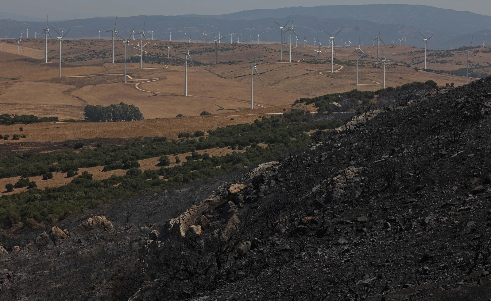 Así han quedado Atlanterra y Zahara de los Atunes tras el incendio forestal en la Sierra de la Plata de Tarifa
