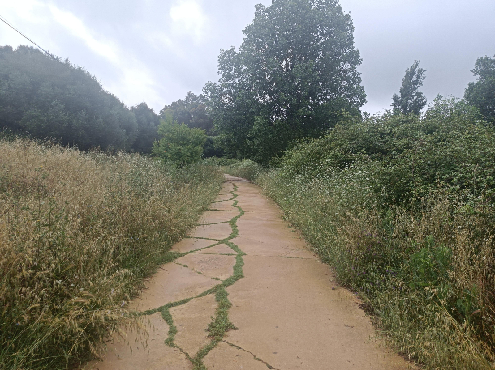 El paseo del Río Pícaro nos aparta del tráfico de la carretera.