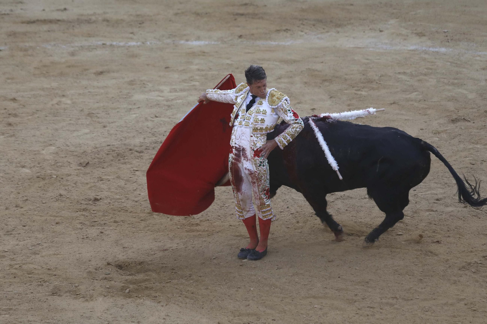 Fotos de la encerrona de Manuel Escribano en Tarifa