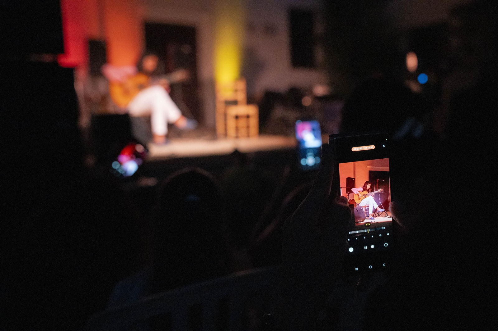 Las mejores imágenes del Festival de Flamenco en Fondón