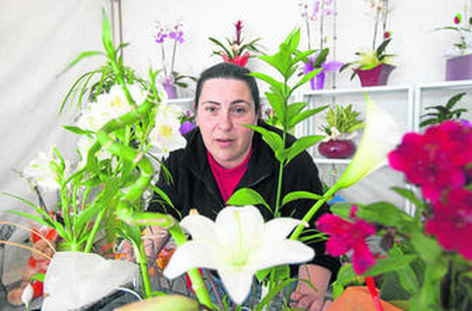 Mercaflor llena de colorido la Plaza