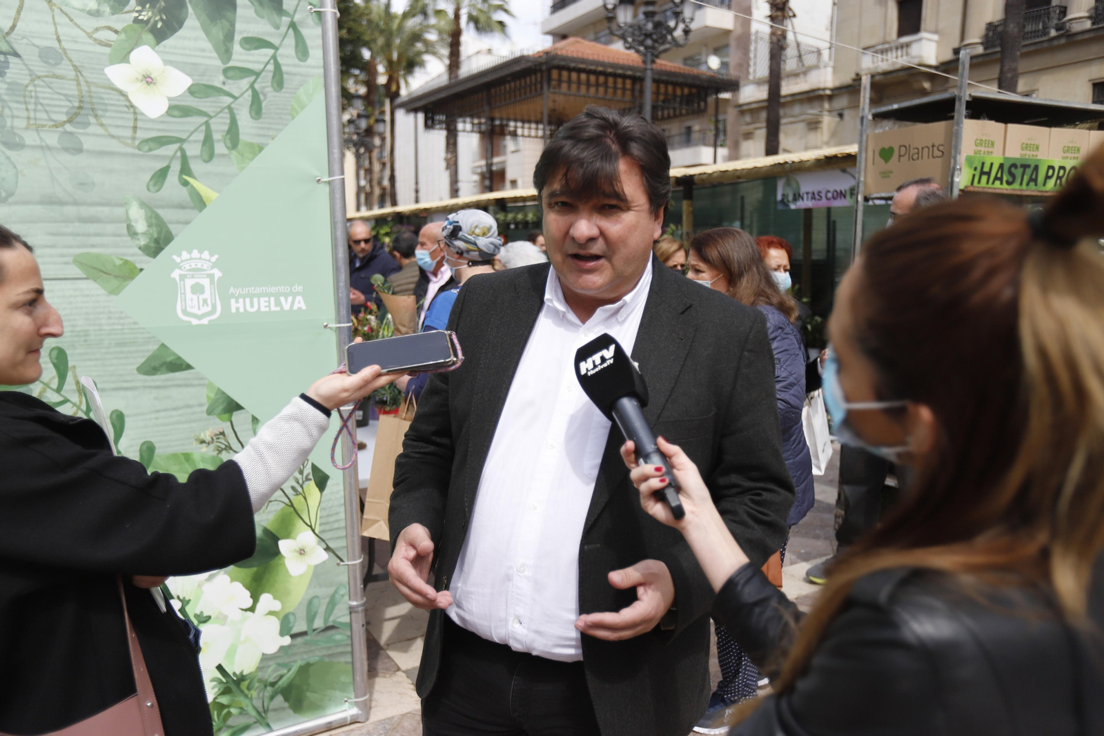 Imágenes del 'V Mercado de Flores y Plantas de Huelva' en la Plaza de Las Monjas