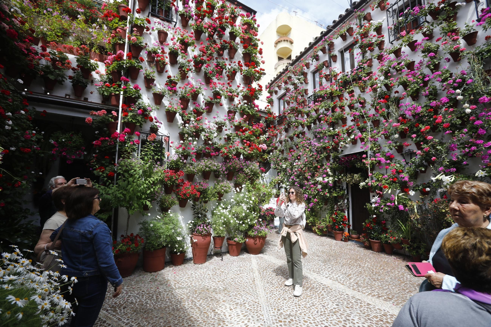 Colas e ilusión en el primer sábado de los Patios de Córdoba, en imágenes