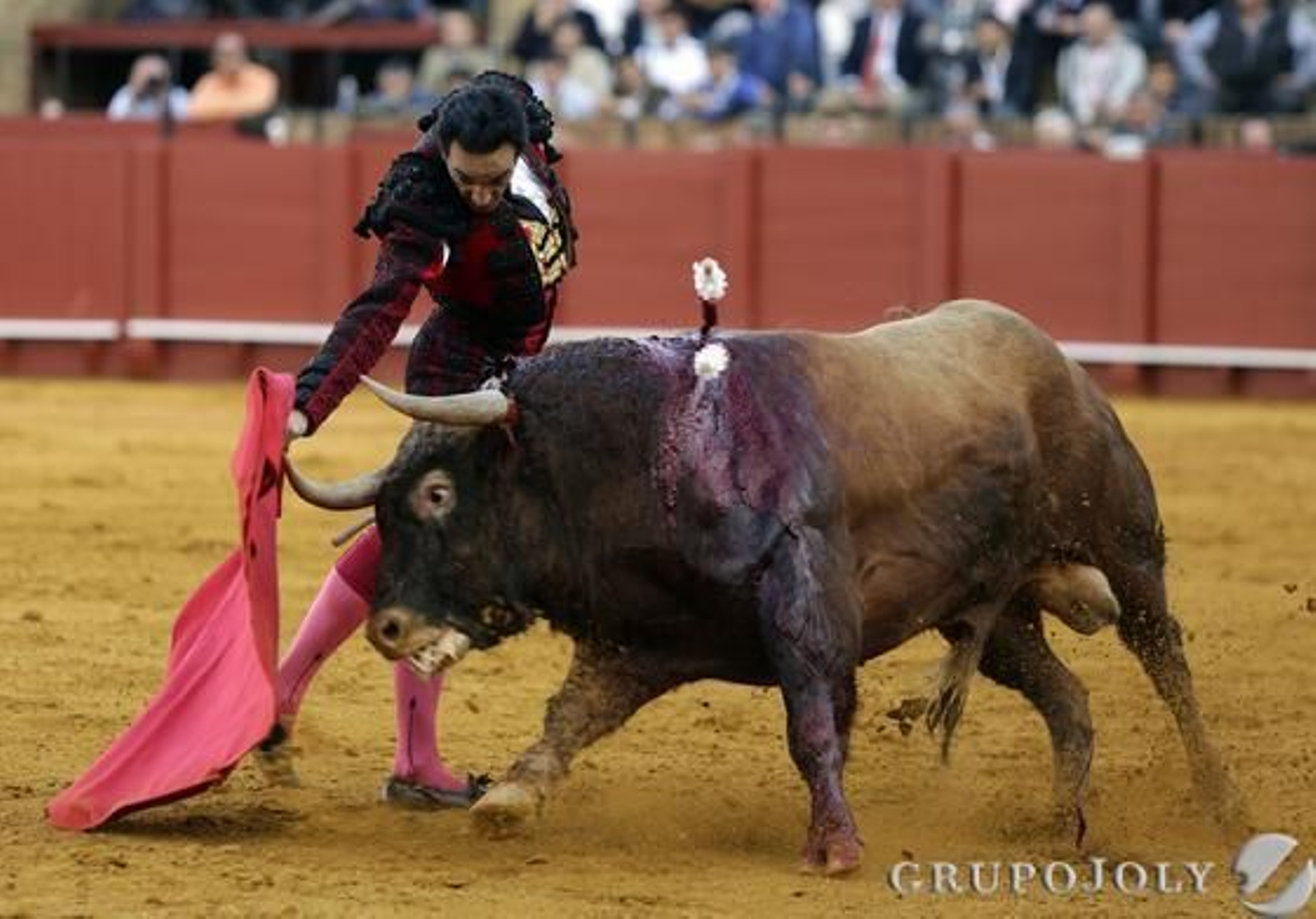 Miguel Abellán. / Juan Carlos Muñoz