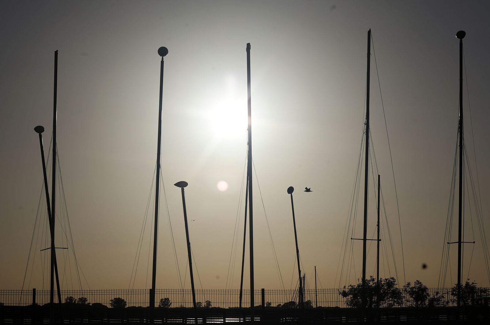 Imágenes del sábado 23 de noviembre en Huelva