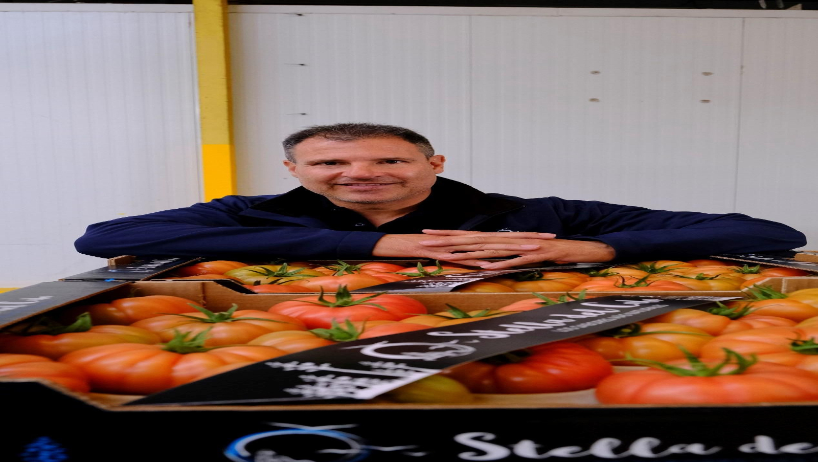 Vea cómo son los tomates almerienses de 'Stella del Cabo'