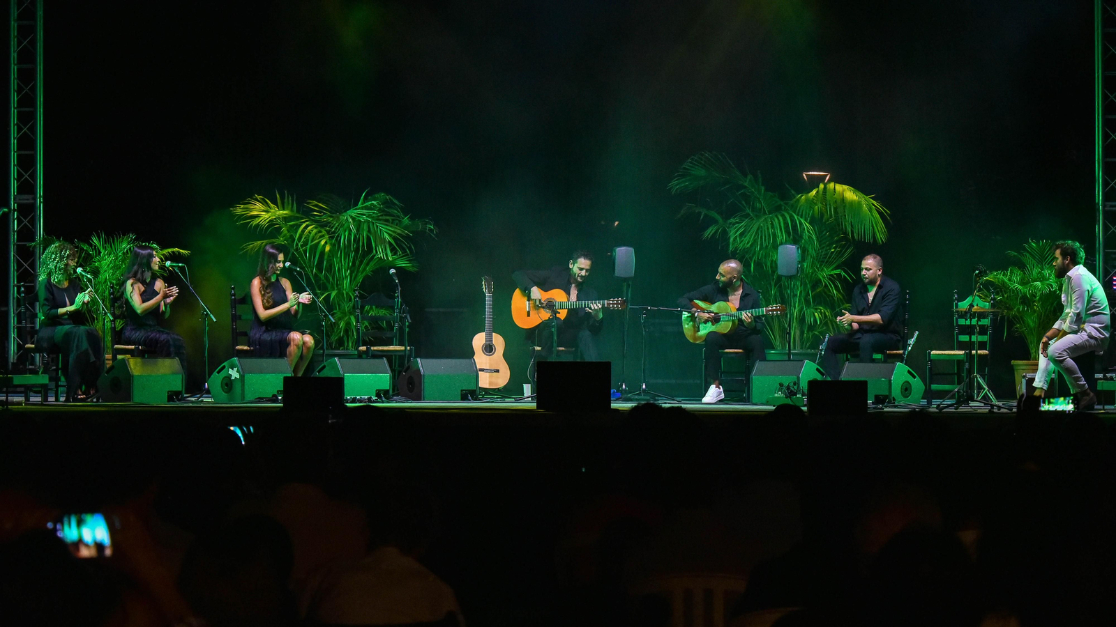 Fotos del concierto de Diego del Morao en el IX Encuentro Internacional de guitarra Paco de Lucía