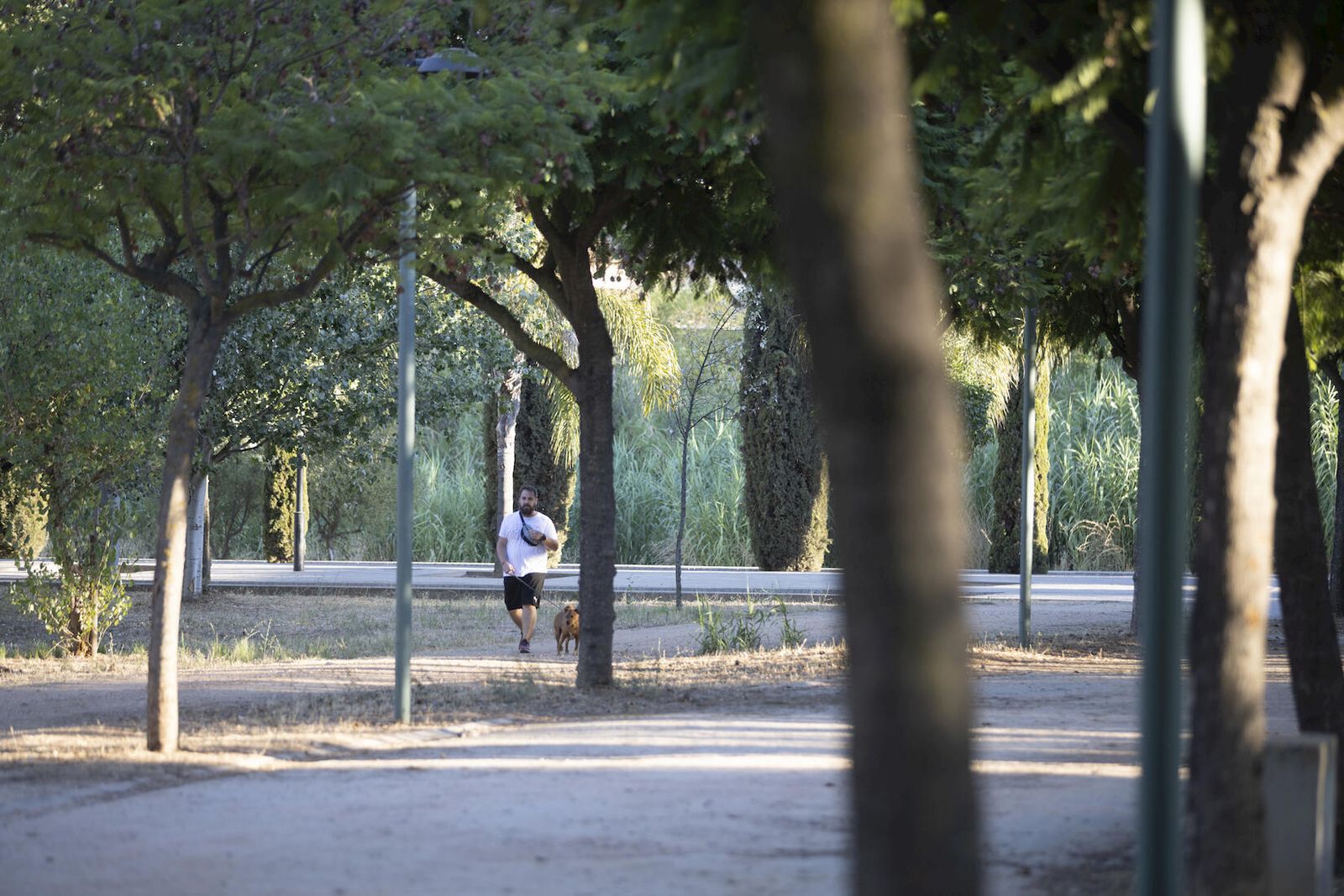 El Parque Moret de Huelva, una tarde de agosto.
