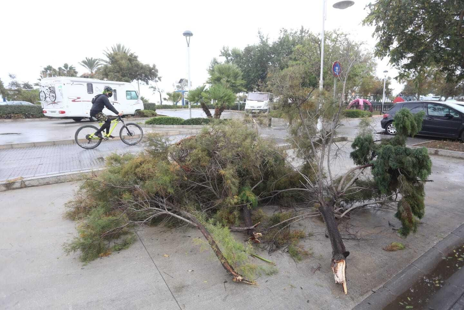 El temporal de lluvia y viento en Málaga