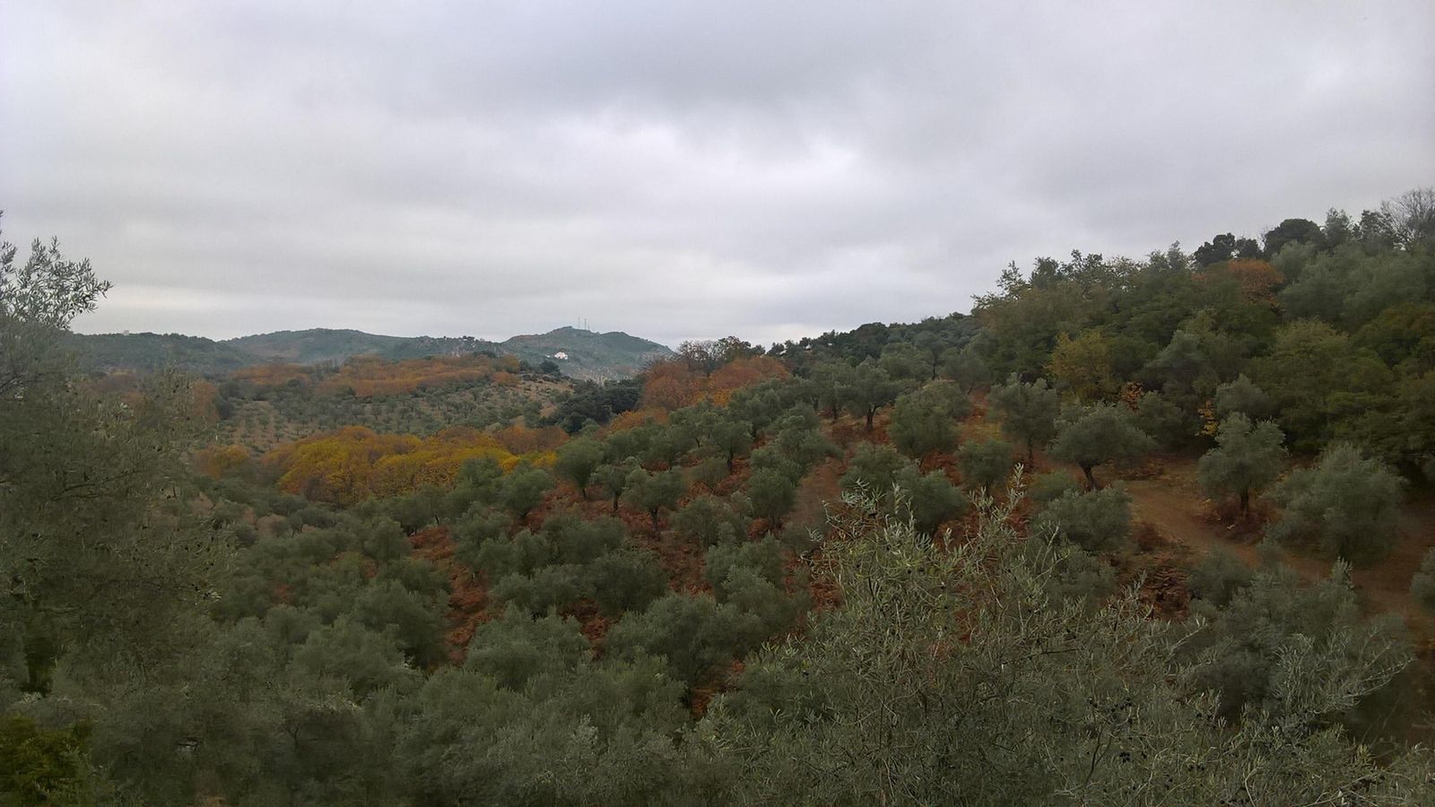 Una de las vistas panorámicas que ofrece el trayecto.